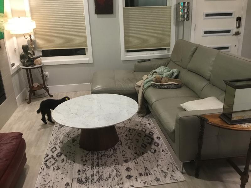 Customer photo for review titled "A Happy Camper  in todays world…."