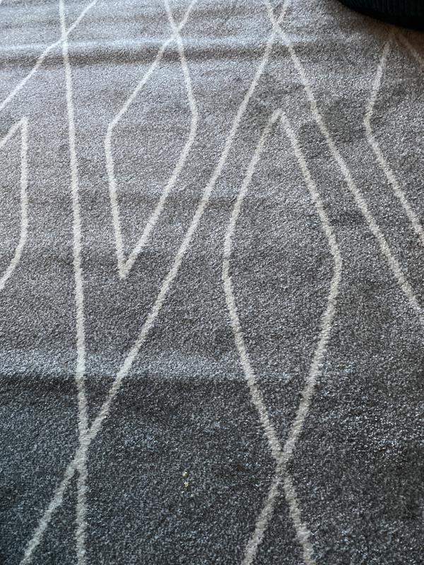 Customer photo for review titled "Perfect size"