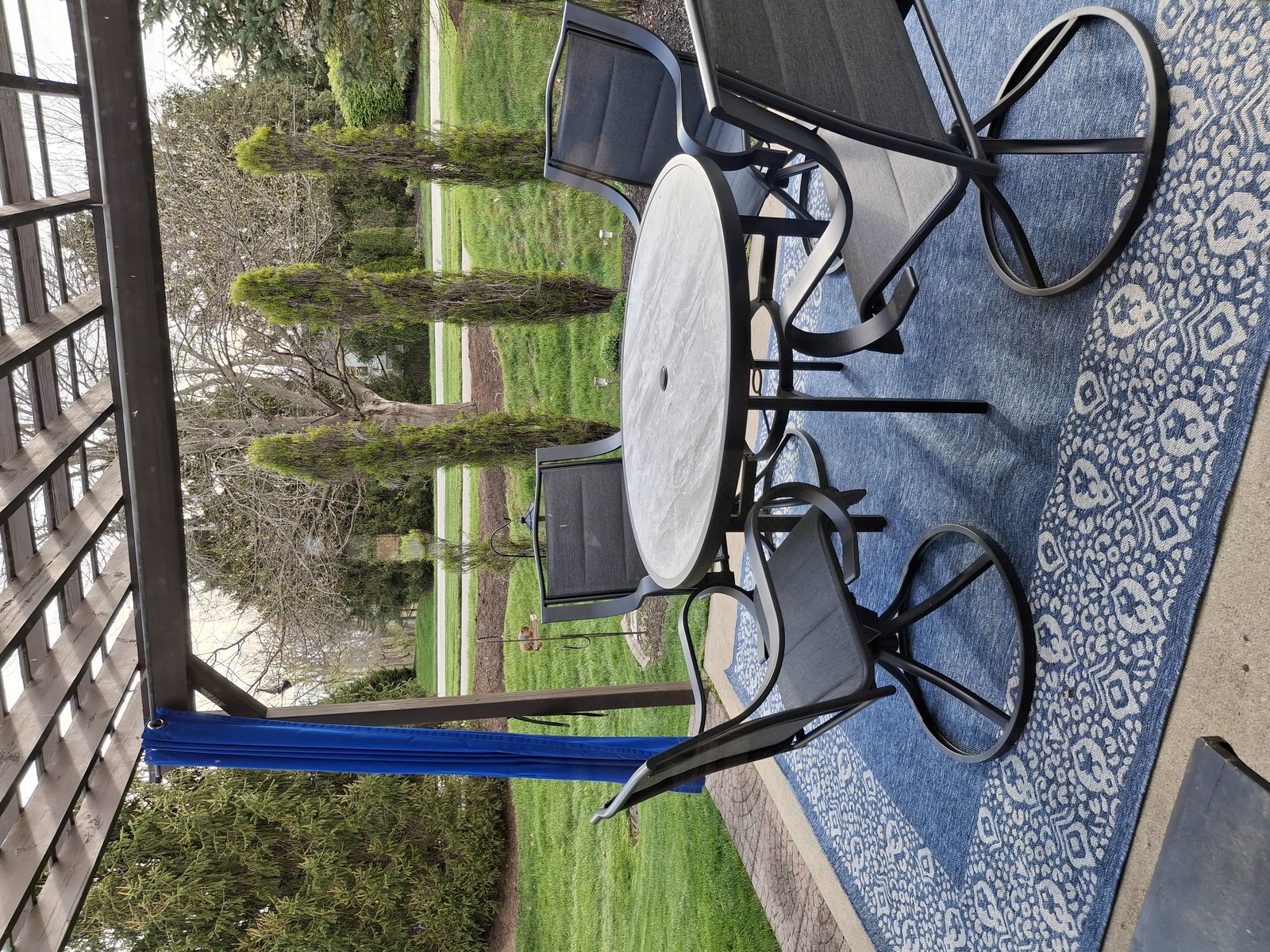 Customer photo for review titled "Love the carpet"