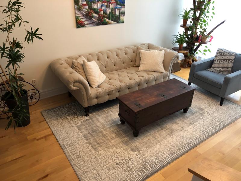 Customer photo for review titled "Great rug! Exactly what we thought it would be."