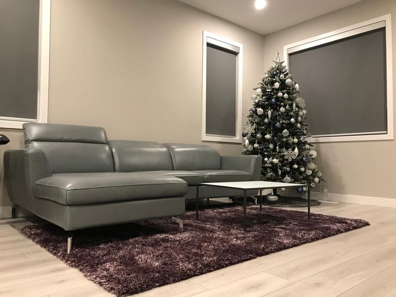 Customer photo for review titled "Very happy with the rug"