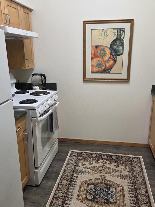 Customer photo for review titled "Elevated space"