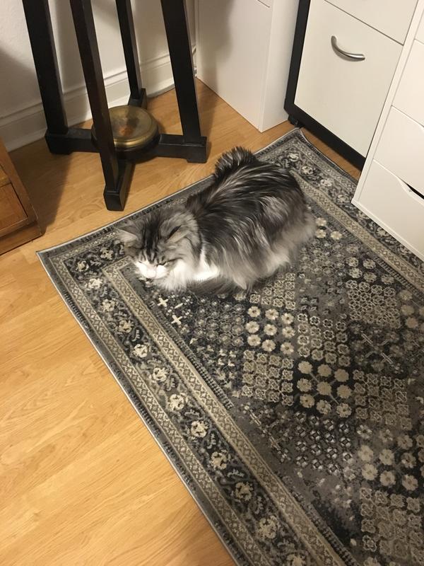 Customer photo for review titled "Better than expected"