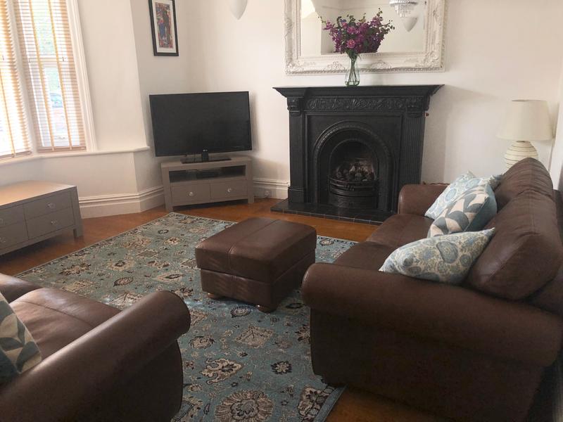 Customer photo for review titled "Great rug!"