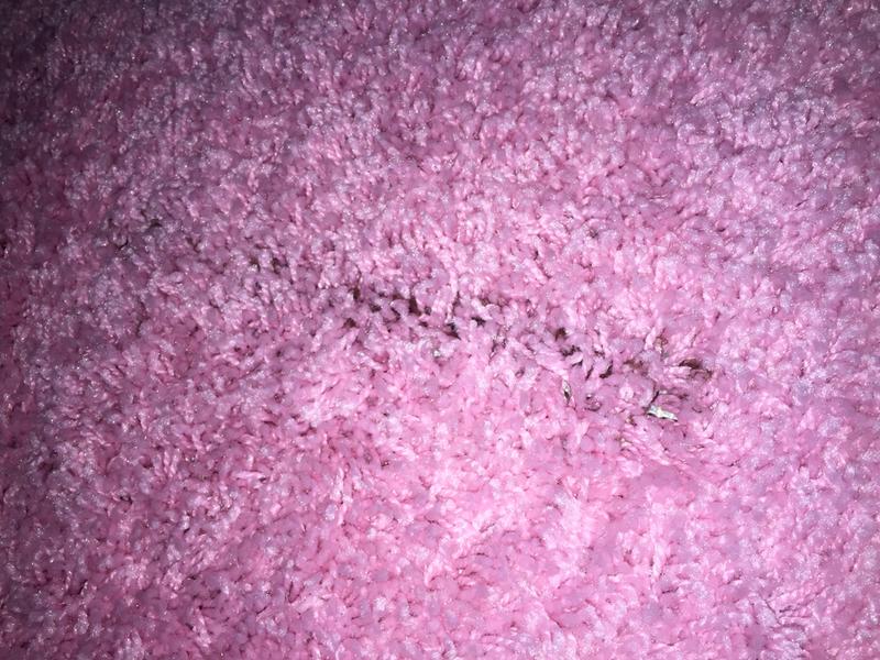 Customer photo for review titled "Pink 6ft x 6ft rug."