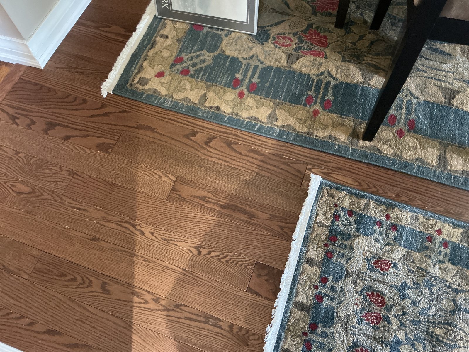 Customer photo for review titled "Great rug!"