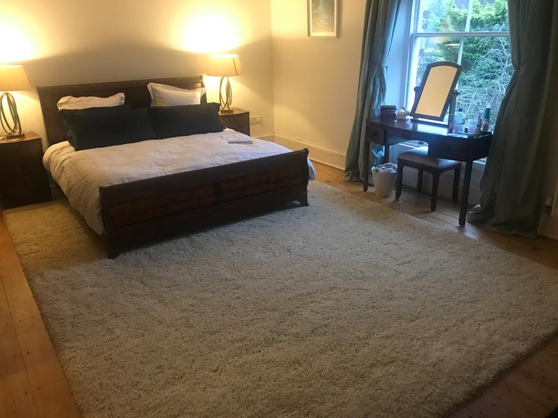Customer photo for review titled "Fabulous rug"