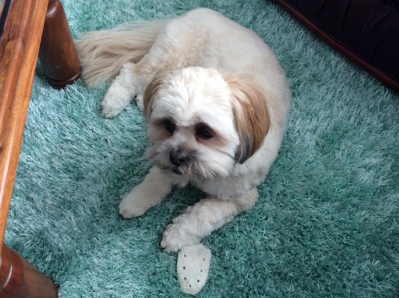 Customer photo for review titled "Wonderful addition to our newly decorated lounge"