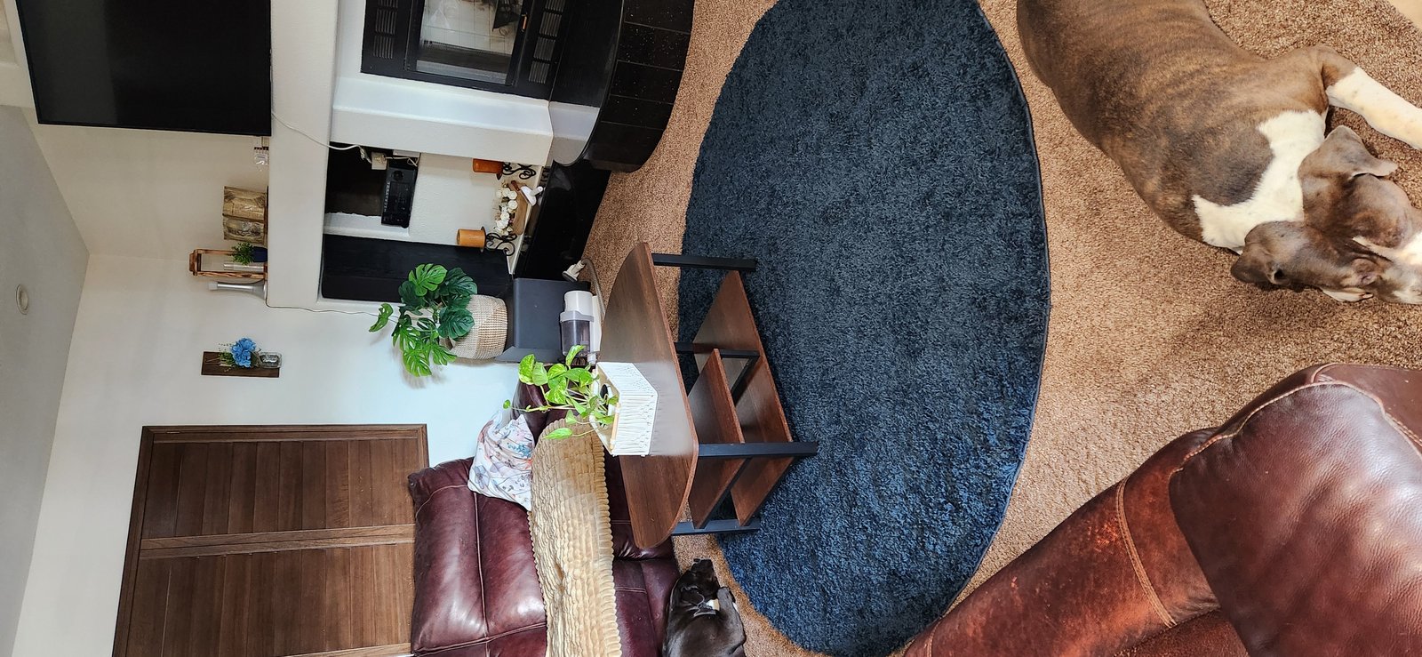 Customer photo for review titled "Round Solid Blue Rug"