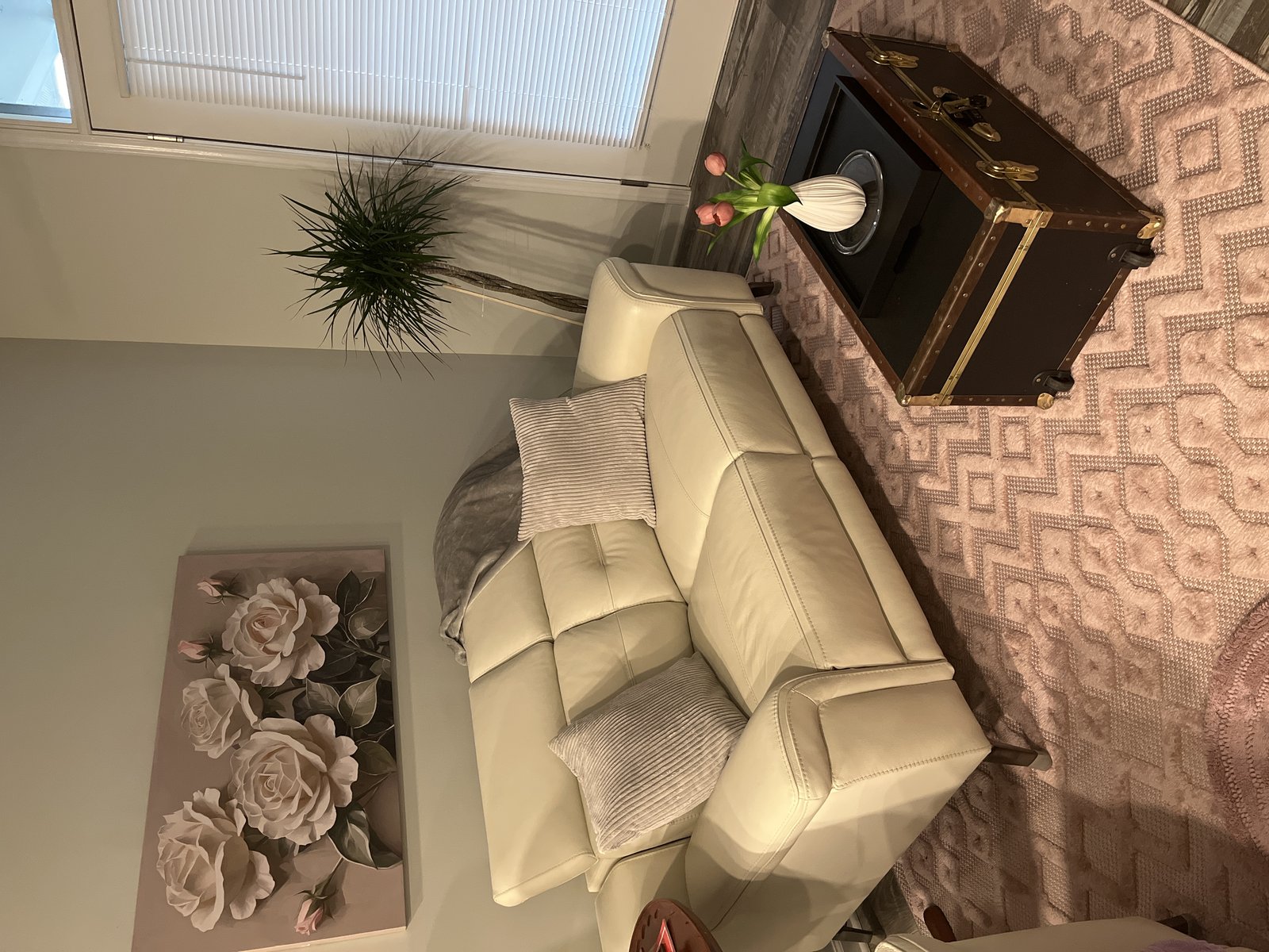 Customer photo for review titled "Definitely recommended"