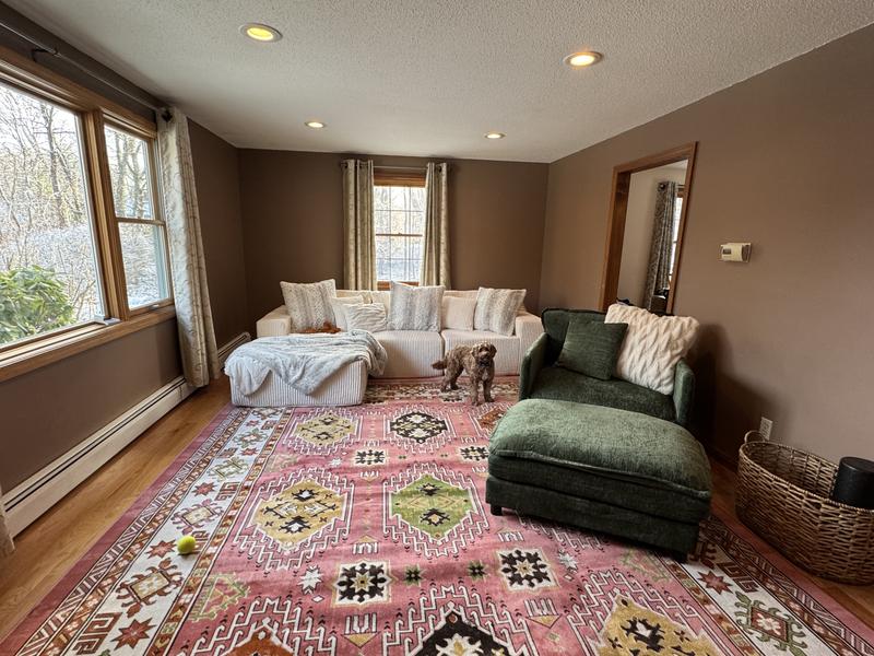 Customer photo for review titled "Great Buy"