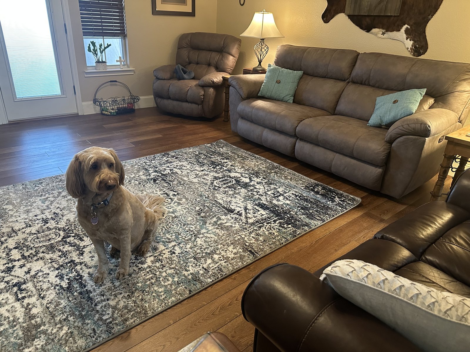 Customer photo for review titled "Great Edges"