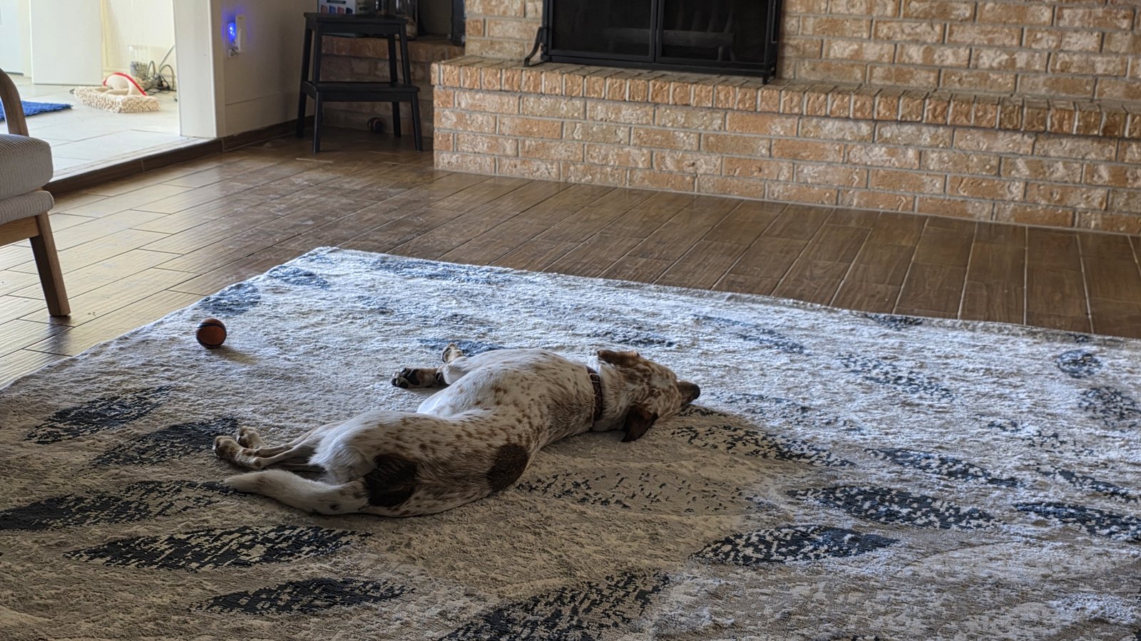 Customer photo for review titled "These rug pads are a must!"