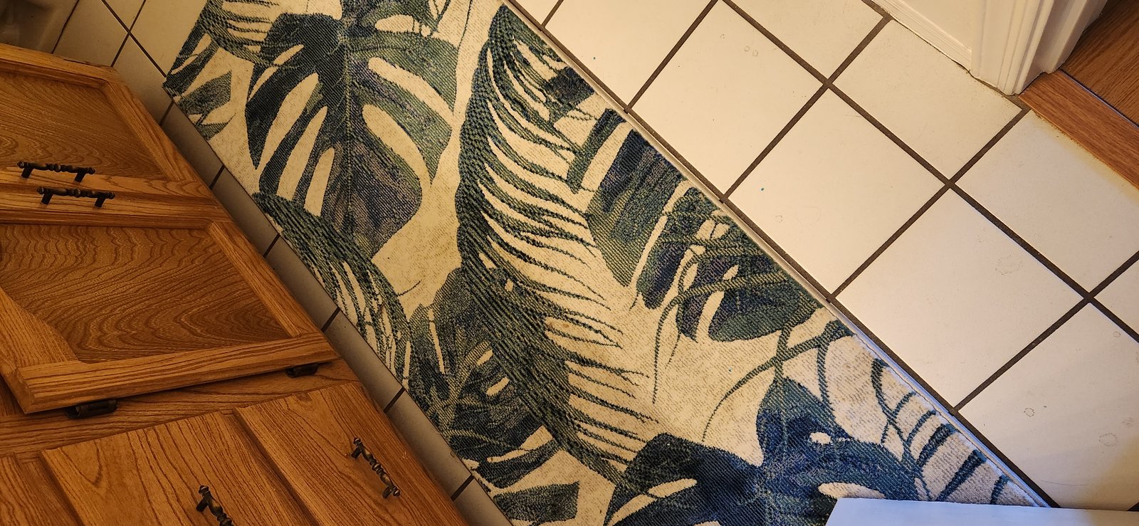 Customer photo for review titled "Monstera rug"