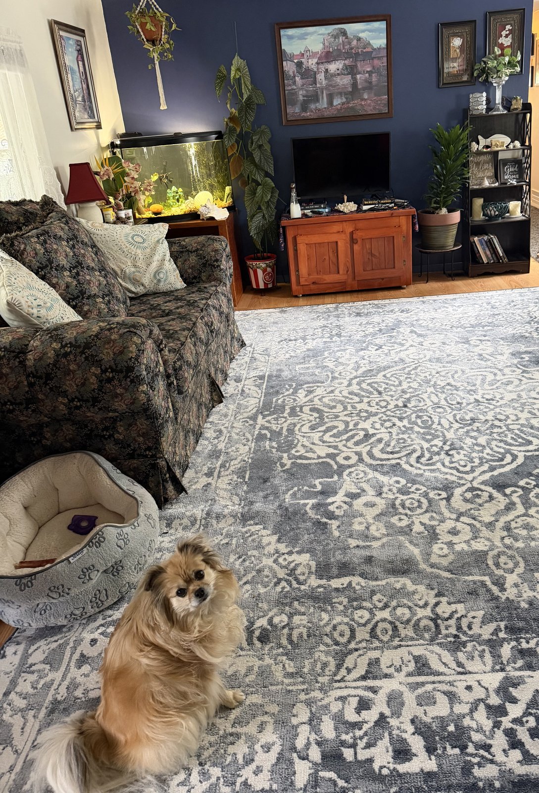 Customer photo for review titled "Amazing rug"