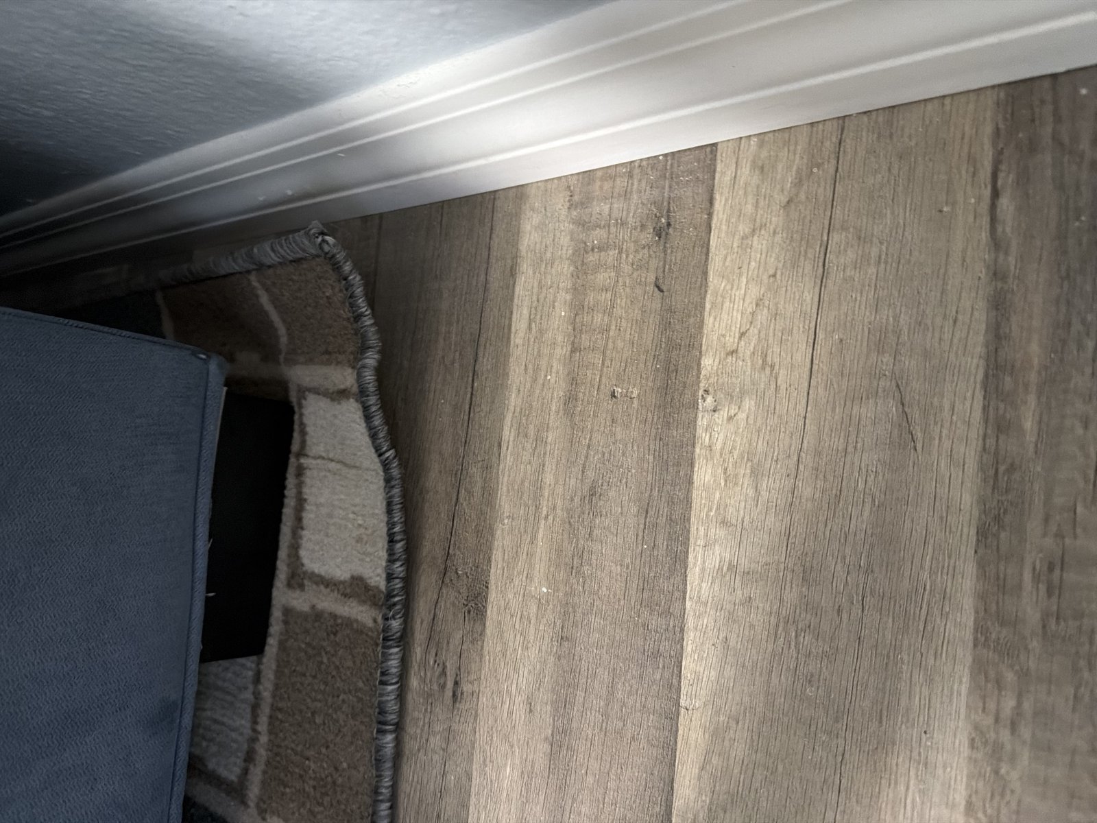 Customer photo for review titled "Won’t flatten"