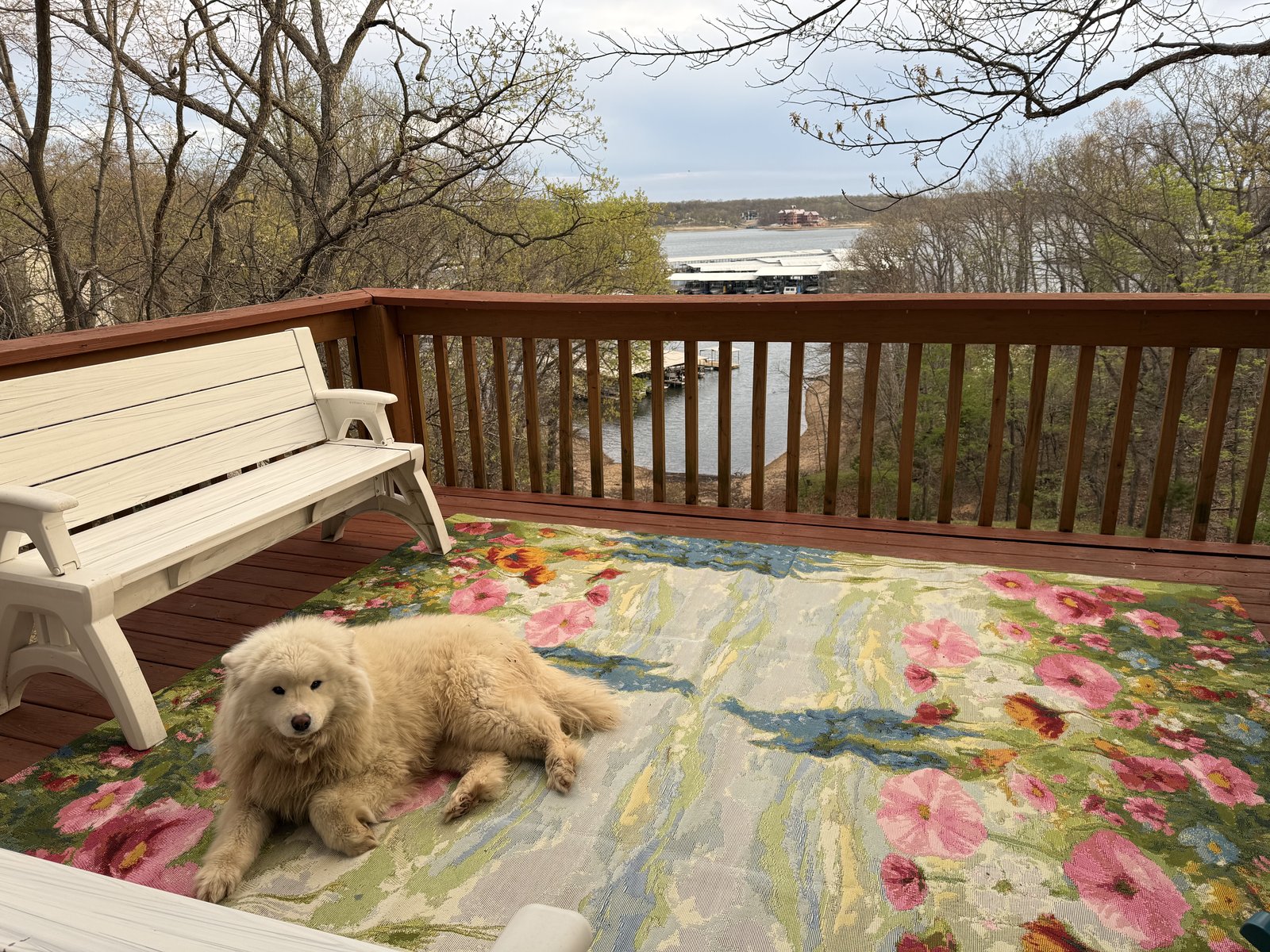 Customer photo for review titled "Beautiful!!!"