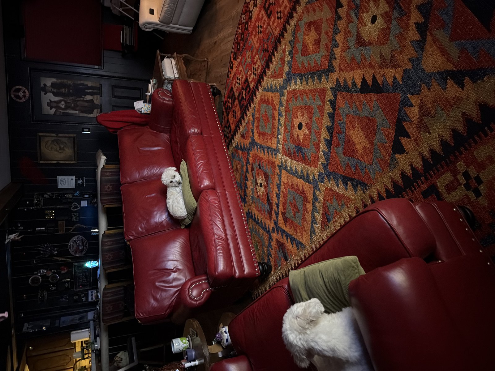 Customer photo for review titled "Rug love"