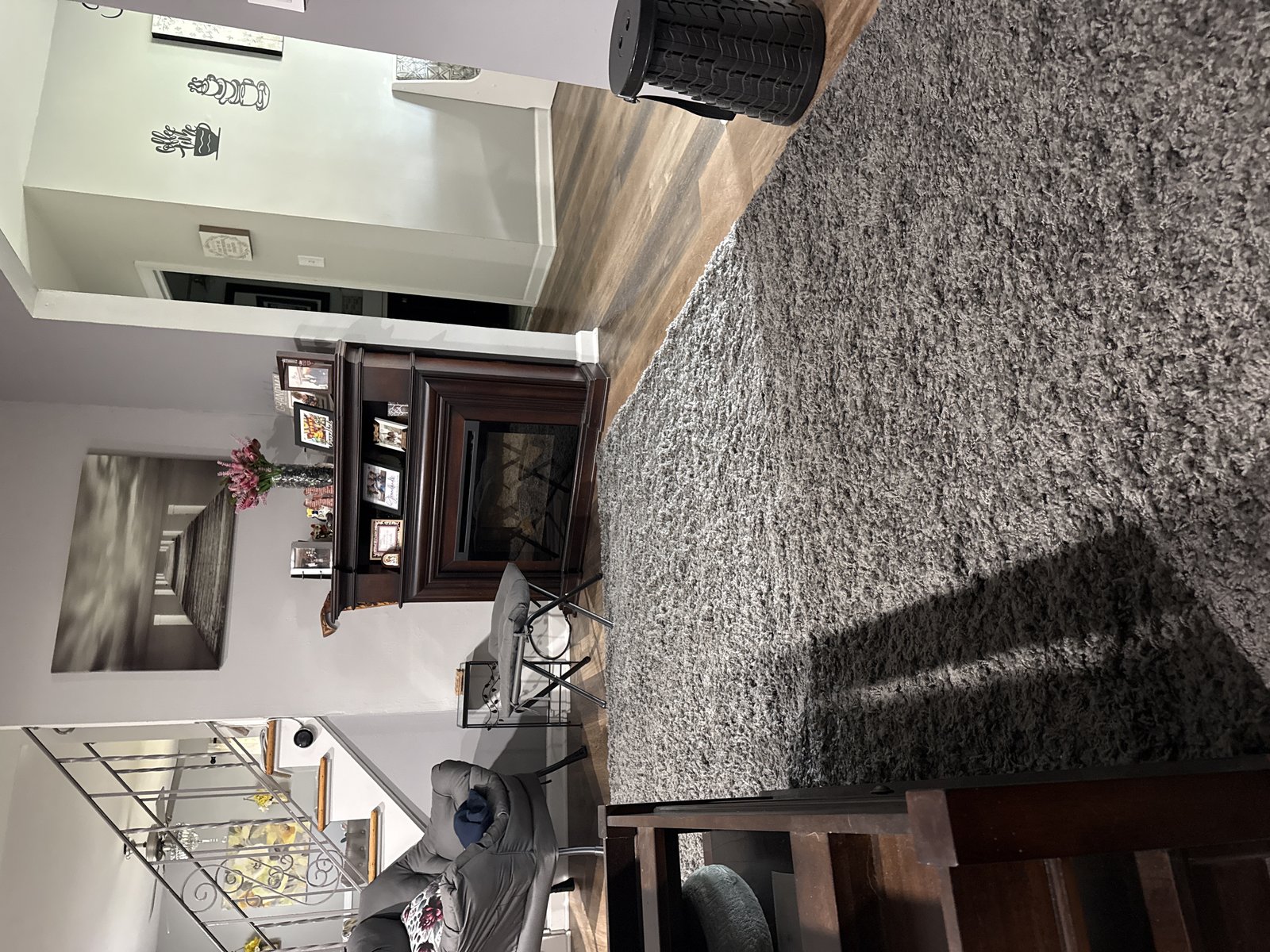 Customer photo for review titled "Soft shag"