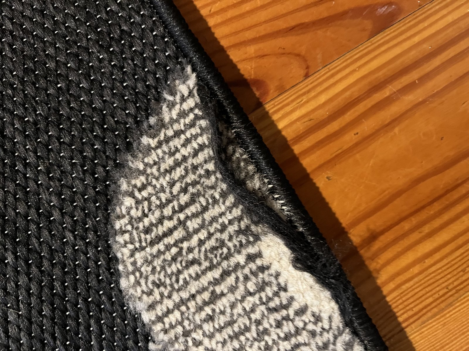 Customer photo for review titled "Love the rug"